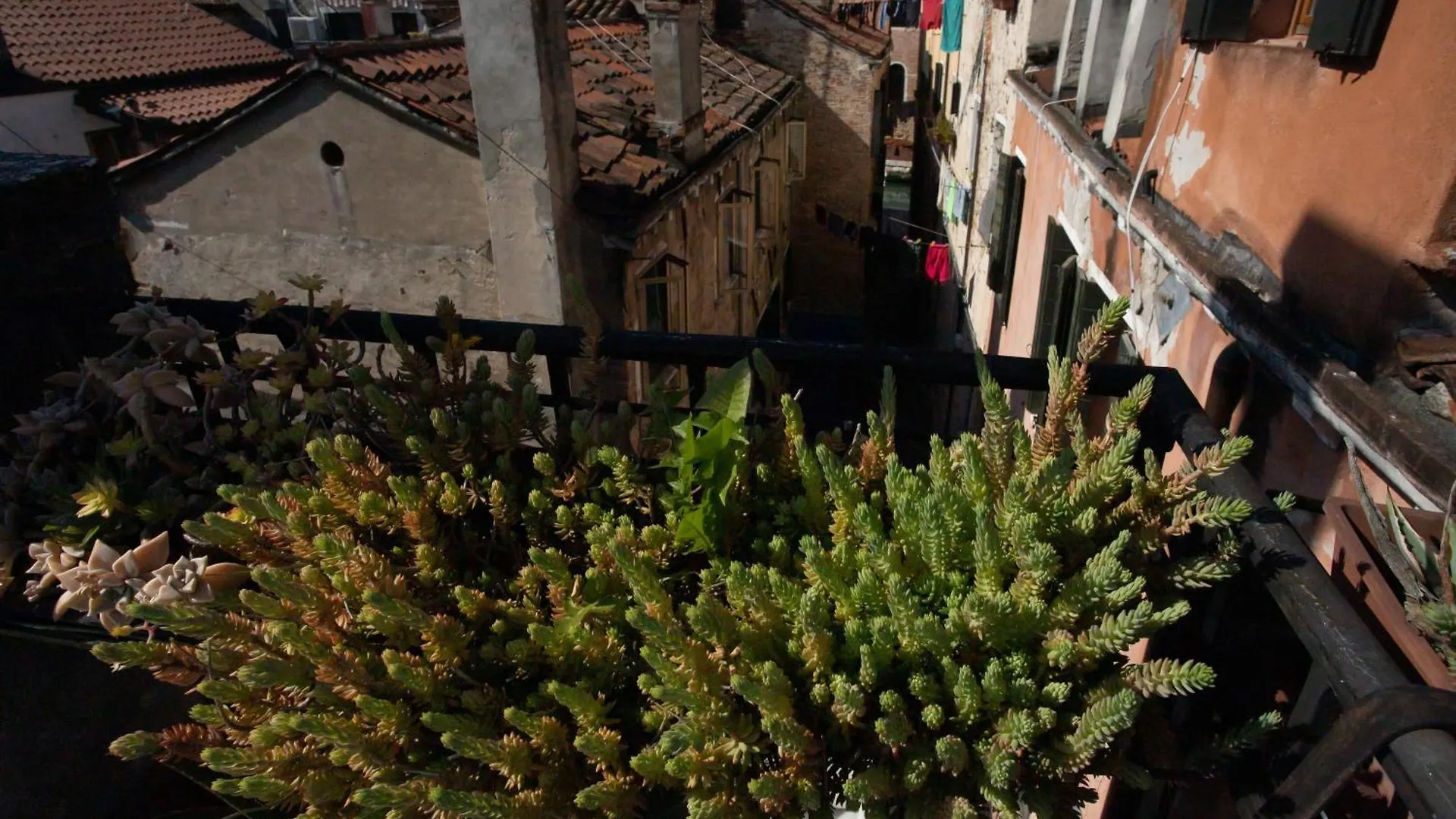 Apartament Casa Loredana Wenecja